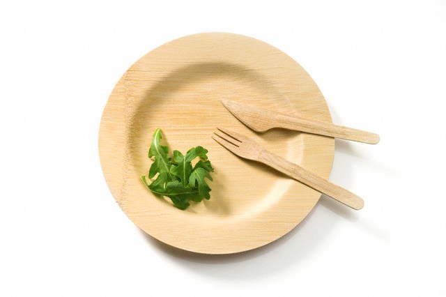 Bamboo plate and utensils