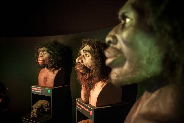 O que deve fazer mais sucesso é o setor que mostra bustos com a reconstituição do rosto de cinco hominídeos