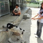 dsc02434-copia_0