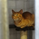 dsc02476-copia_0