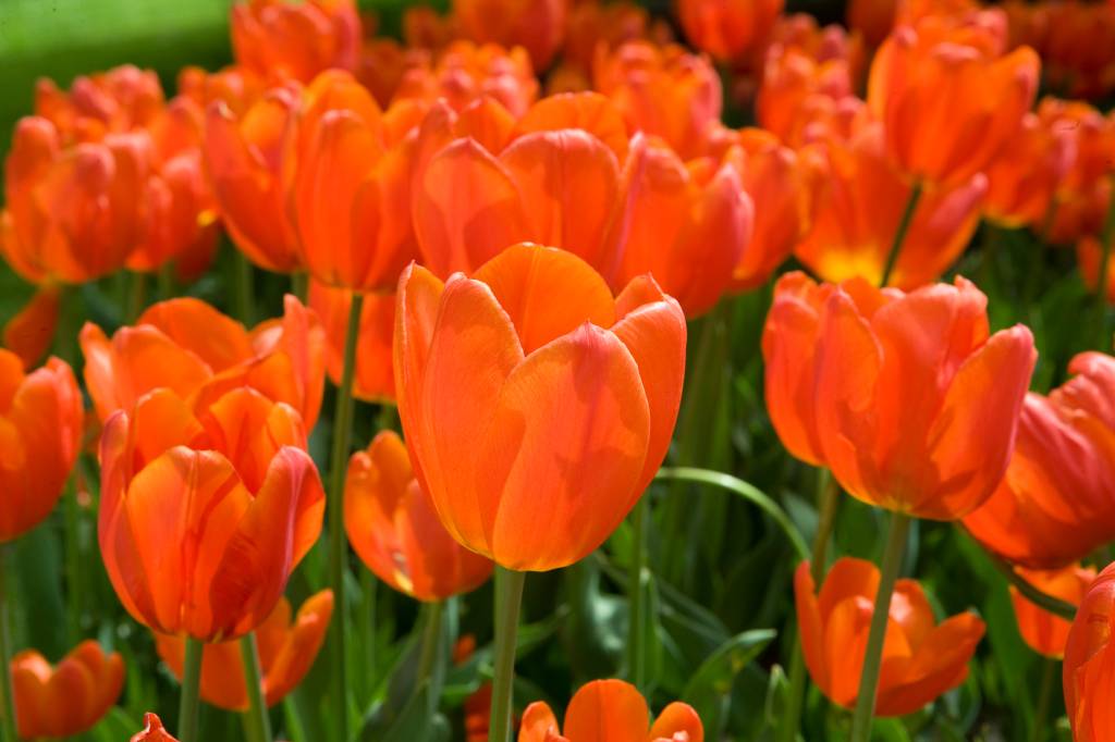 O melhor de Istambul, parte 3: fotolog das principais atrações