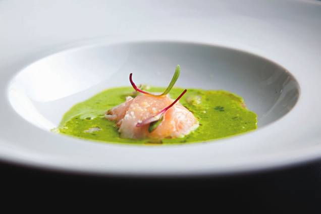 Gema de ovo caipira com carpaccio sobre creme de ervas, pancetta e presunto cru Gema de ovo caipira com carpaccio sobre creme de ervas, pancetta e presunto cru