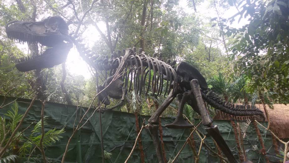 Esqueleto de Tiranossauro Rex: na exposição, também há réplicas de fósseis