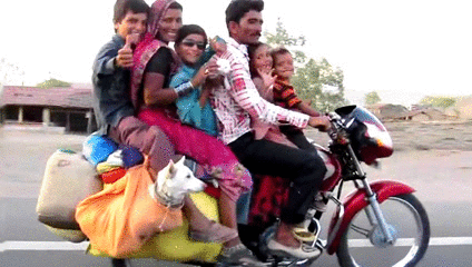 family-dog-india-motorcycle-bike-1364575869c