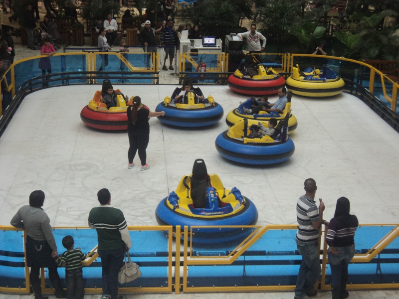 ferias-interlagos-julho-2013-bumper-car-bx.jpeg