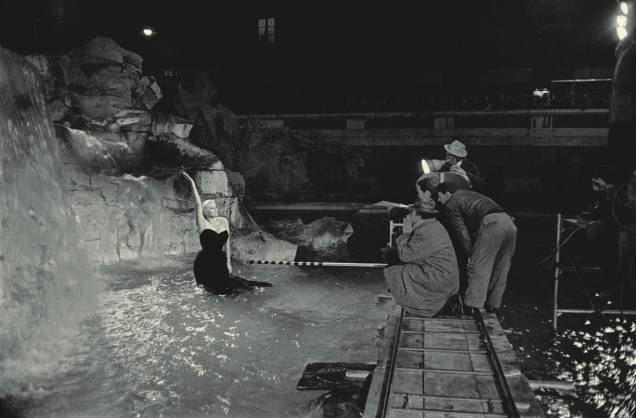 Anita Ekberg na famosa cena na Fontana di Trevi em A Doce Vida: núcleo dedicado às mulheres Anita Ekberg na famosa cena na Fontana di Trevi em A Doce Vida: núcleo dedicado às mulheres