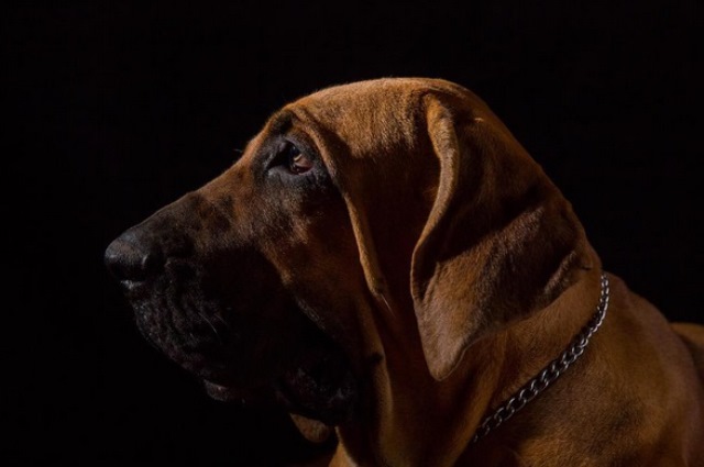 fila-brasileiro-reprodu%c3%a7ao-instagram-rodrigo35mm