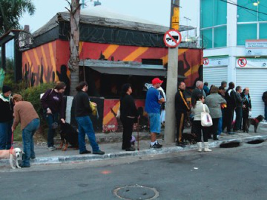 Um novo SUS para os pets