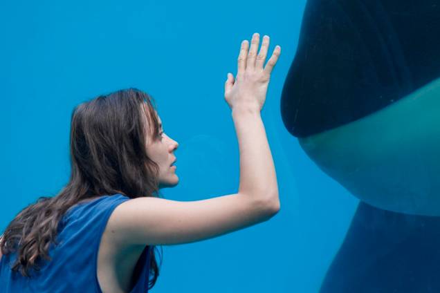 Ferrugem e Osso: no drama Marion Cottillard é uma treinadora de baleias
