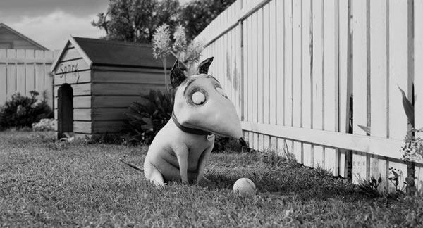 Frankenweenie, de Tim Burton: animação em preto e branco