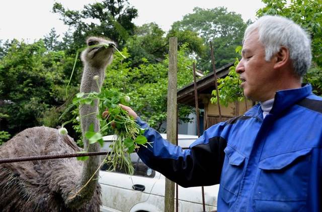 fukushima-radioactive-disaster-abandoned-animal-guardian-naoto-matsumura-6