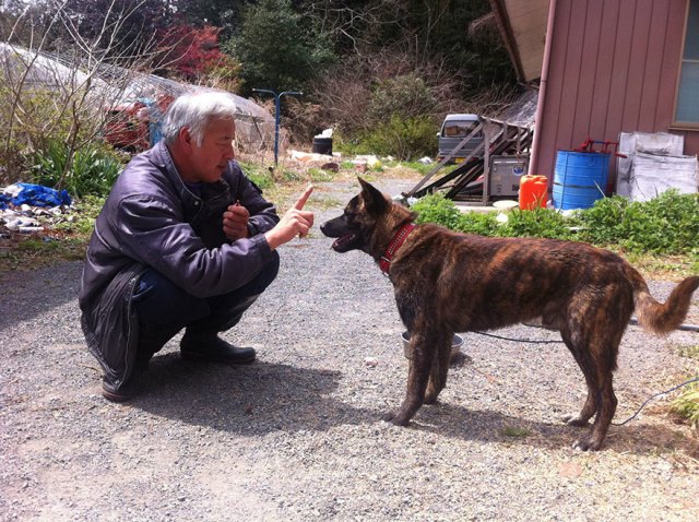 fukushima-radioactive-disaster-abandoned-animal-guardian-naoto-matsumura-7