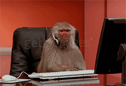 computer frustrated typing customer service office monkey