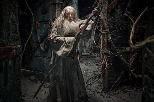 O Hobbit - A Desolação de Smaug: O Hobbit - A Desolação de Smaug: