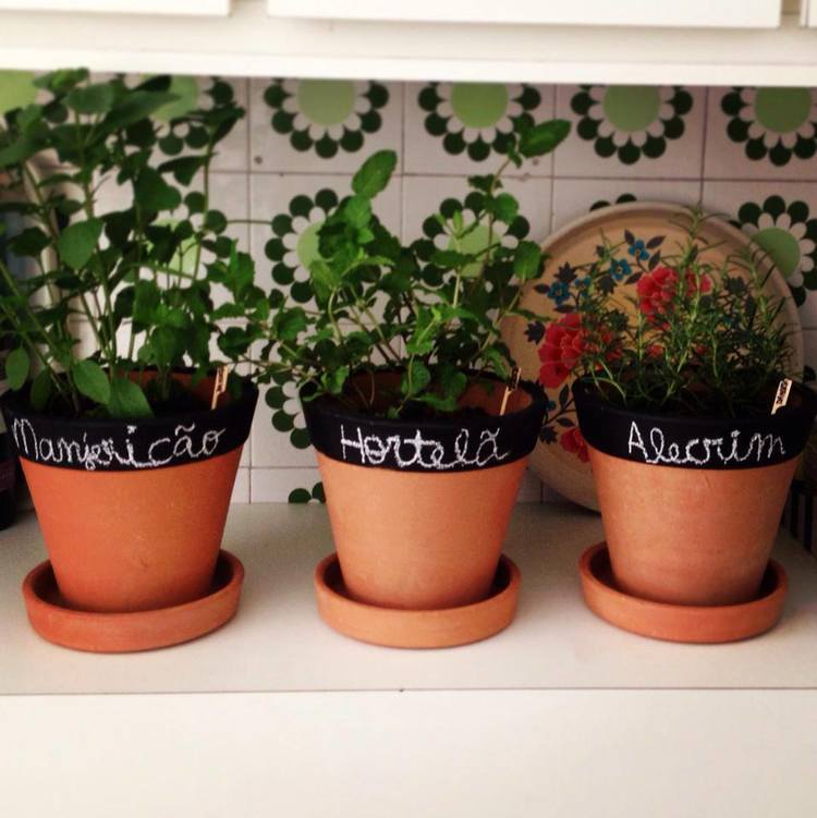 Hortinha doméstica pode ser cultivada em vasinhos individuais. (Foto: Da Horta/Instagram)