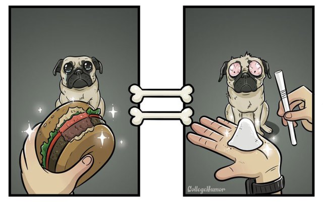 ilustrações cachorro mundo