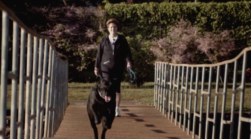 Em nota oficial, Dilma fala sobre o destino de seus cachorros