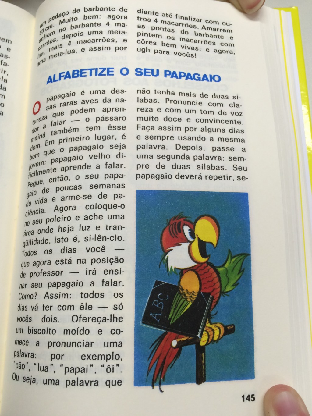 Como alfabetizar seu papagaio