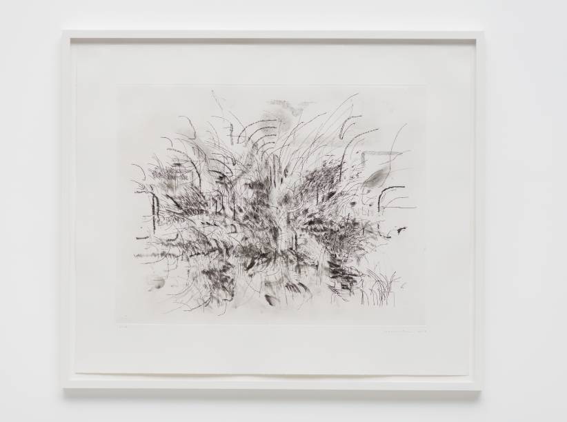 	Untitled 2013, de Julie Mehretu