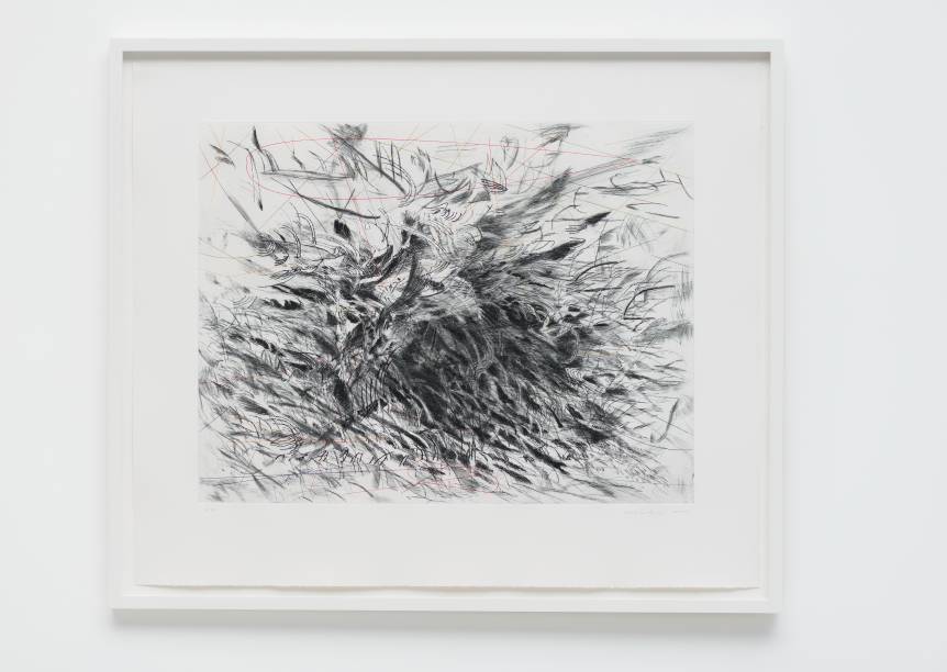 	Untitled 2013, de Julie Mehretu