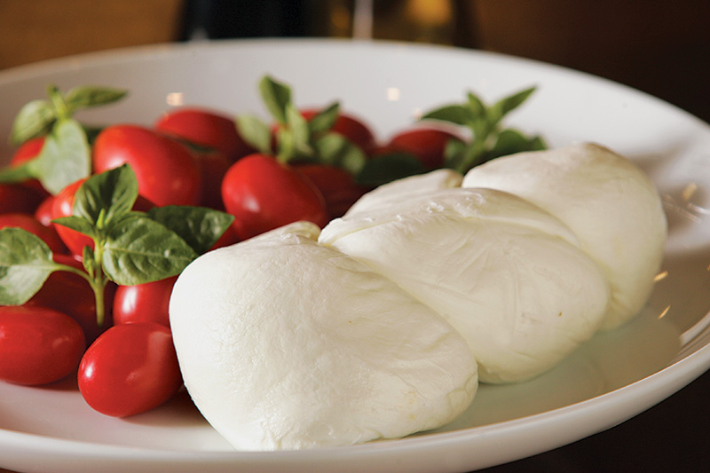 La Bufalina: a mussarela de búfala de Guaratinguetá La Bufalina: a mussarela de búfala de Guaratinguetá