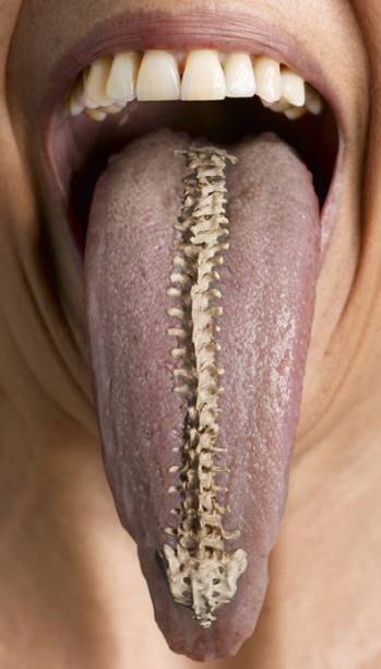 Língua Vertebral, 1998 - 2009, de Lenora de Barros