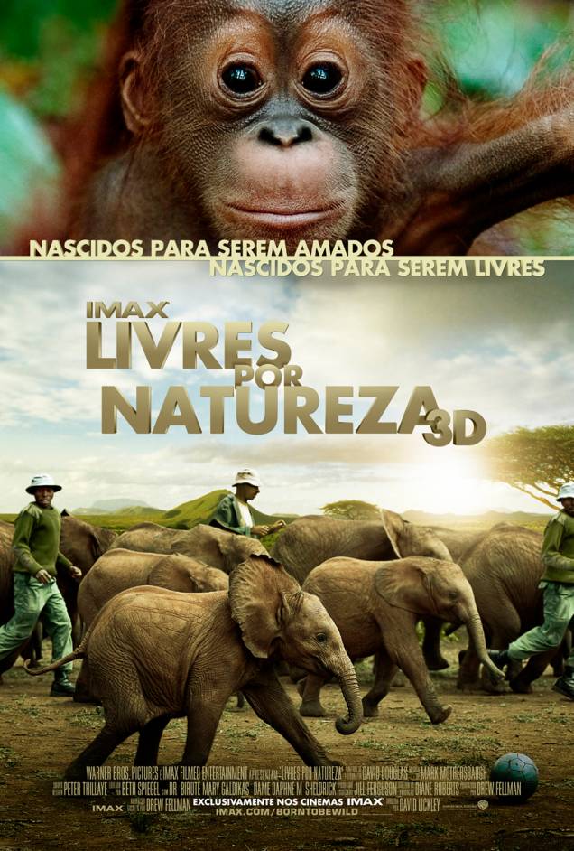 Livres por Natureza 3D: documentário sobre animais em extinção