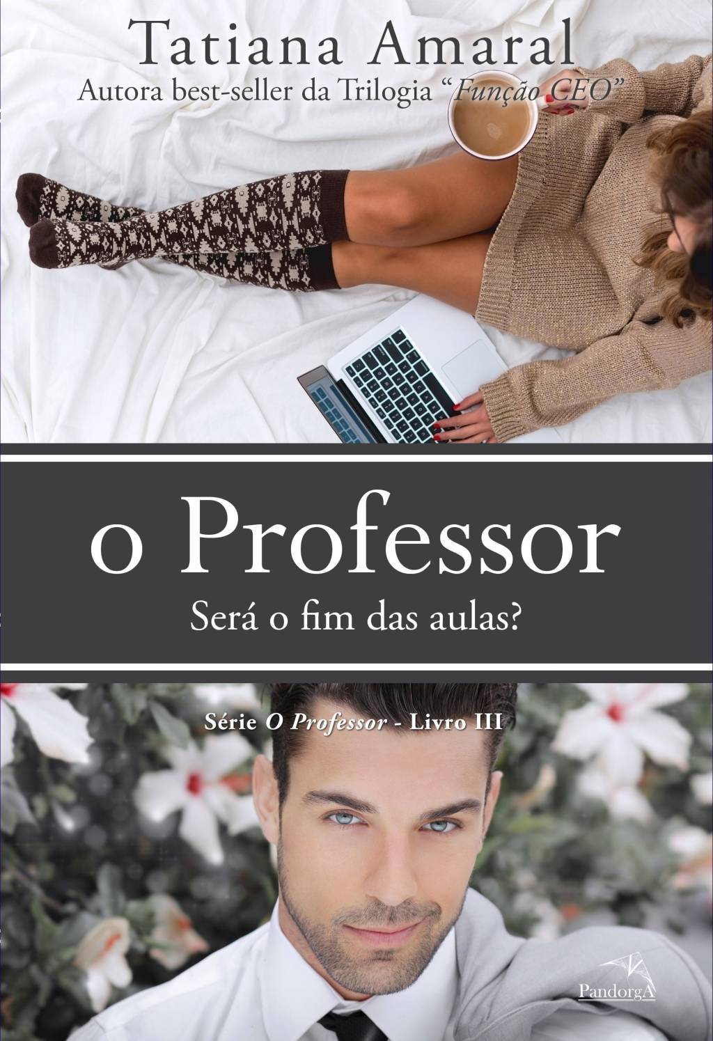 livro-o-professor