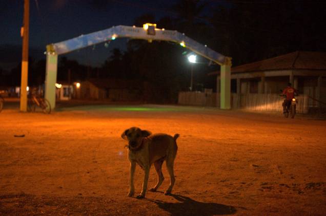 Cão Errante no Jubim (2013) é um registro da Ilha do Marajó