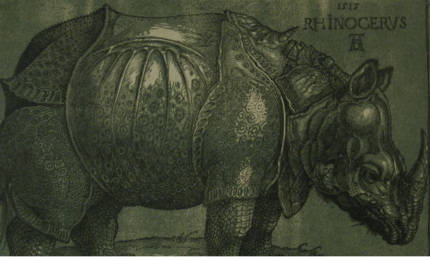 Obra <em>O Rinoceronte</em>, Impressão feita em 1620 por Albrecht Dürer