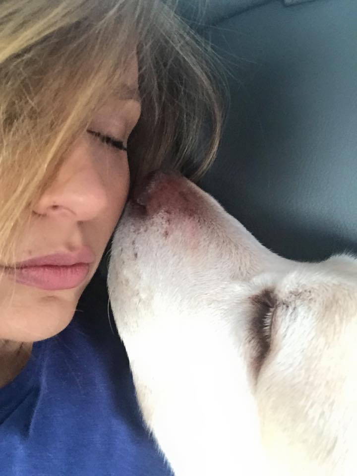 Luisa Mell publica mensagem emocionante sobre seu labrador que sofre de problemas cardíacos