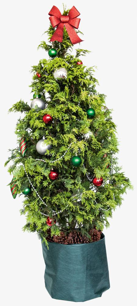 Árvore de Natal barata Árvore de Natal barata