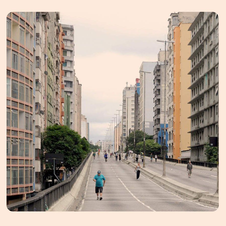 minhocao