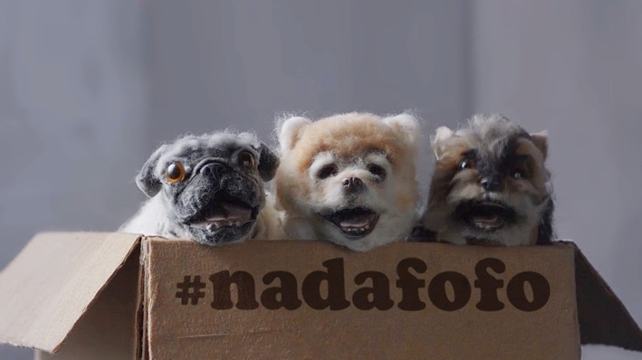 nadafofo