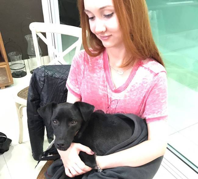 Natalie Spiller resgate cachorro