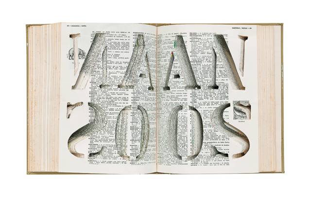 O dicionário de Nuno Ramos: uma das sessenta obras relacionadas ao universo dos livros