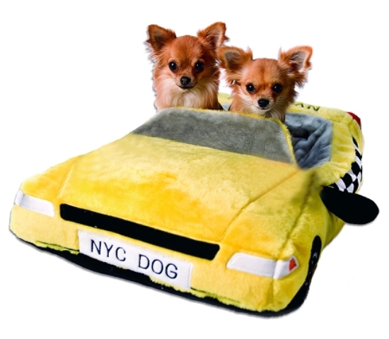 Taxi Cachorro