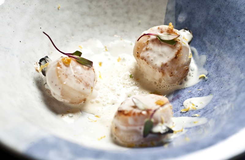 o-hotate-otoshi-e-o-trio-de-vieiras-frescas-seladas-com-alho-negro-com-espuma-de-gengibre.jpeg