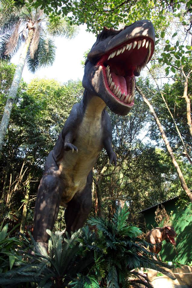 O tiranossauro rex ao ar livre: 8 metros de altura