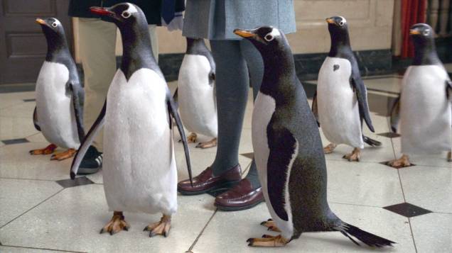 Os Pinguins do Papai: Jim Carrey atua com animais de carne, osso e efeitos visuais