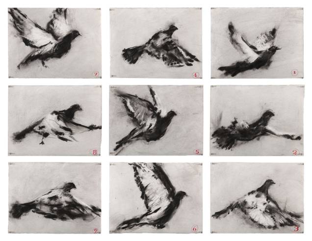 Sem título (nove pássaros em voo), 2011, Charcoal on paper, William Kentridge