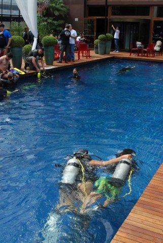 padi-festival.jpeg
