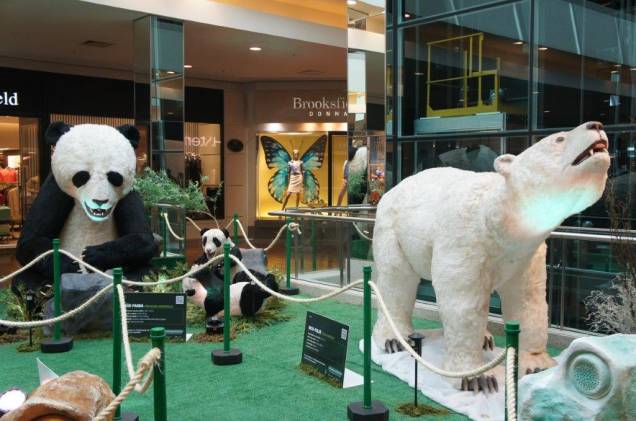 Há urso-polar, urso-panda, urso-pardo, urso-negro americano, urso-negro asiático, urso-do-sol, urso-preguiça e o chamado urso-de-óculos Há urso-polar, urso-panda, urso-pardo, urso-negro americano, urso-negro asiático, urso-do-sol, urso-preguiça e o chamado urso-de-óculos