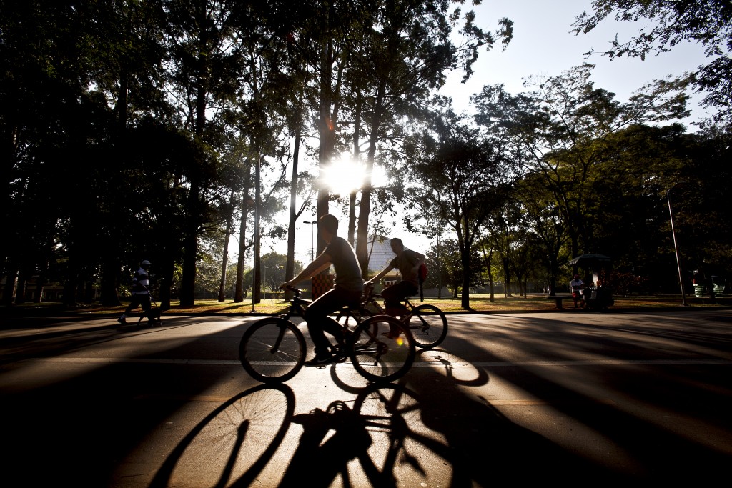 Parque do Ibirapuera: para andar de bicicleta (Foto: Lucas Lima/VEJA SP).