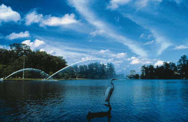 Parque do Ibirapuera: 160 espécies de animais