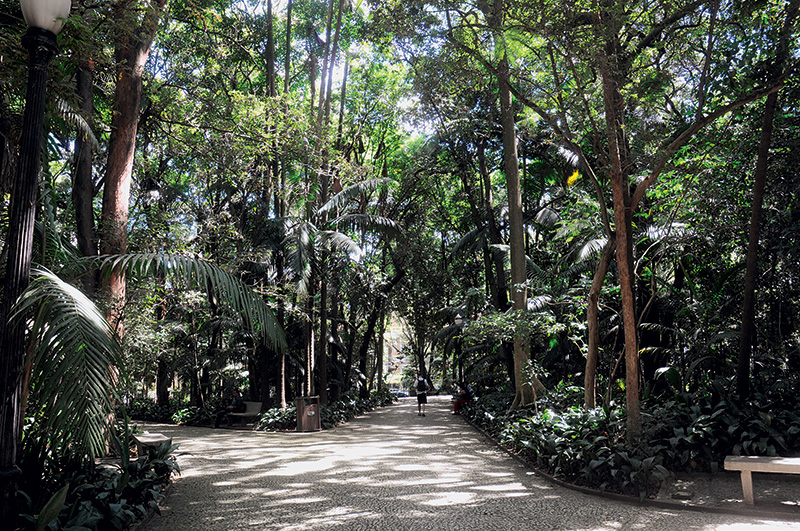 Parque Tenente Siqueira Campos (Parque Trianon) VEJA SÃO PAULO