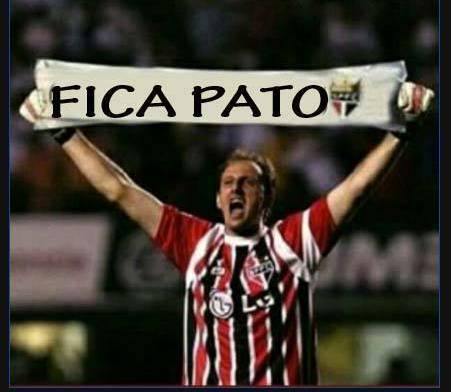 pato4