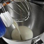 Coloque o creme de leite fresco na batedeira