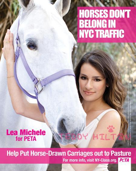 peta-strikes-back-at-horse-and-carriage-association-of-nyc__oPt
