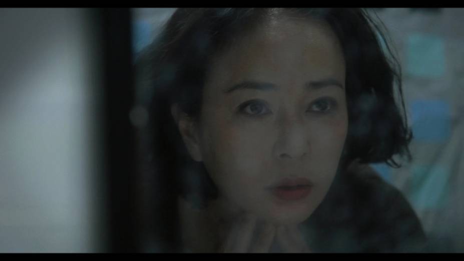 Pieta: atriz sul-coreana Jo Min-soo vive a mãe de um criminoso Pieta: atriz sul-coreana Jo Min-soo vive a mãe de um criminoso